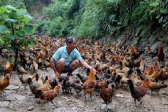 湖南一人感染H7N9流感死亡，H7N9該怎么預(yù)防？[多圖]