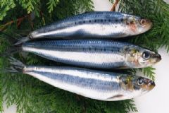 吃什么緩解耳鳴的癥狀？哪些食物能緩解耳鳴？[圖]