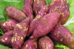 食用紅薯有哪些好處？食用紅薯有哪些功效？[圖]