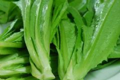 油麥菜可以生吃嗎？油麥菜生吃好嗎？[圖]