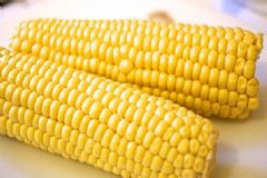 玉米有什么藥用價(jià)值？玉米怎么吃健康？[圖]