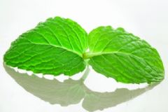 薄荷可以驅(qū)蚊嗎？薄荷驅(qū)蚊效果好嗎？[圖]
