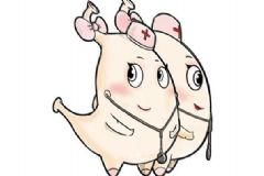 腸道傳染病多發(fā)在夏季：夏季該如何嚴(yán)把口關(guān)避免生??？[圖]