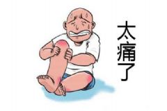 夏季哪些食物易誘發(fā)痛風？夏季痛風發(fā)作該怎么辦？[圖]