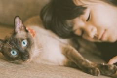妄想癥的表現(xiàn)有哪些？妄想癥最嚴重的表現(xiàn)？[圖]