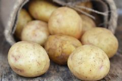 土豆怎么吃才最好？吃土豆有哪些禁忌？[圖]
