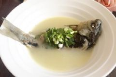 哪些食物能預(yù)防疾??？常見疾病吃什么能預(yù)防？[圖]