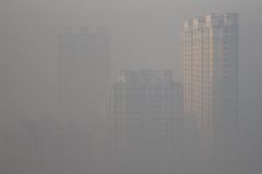 霧霾天需要補充什么營養(yǎng)？霧霾天該吃什么？[圖]