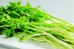 芹菜的營(yíng)養(yǎng)價(jià)值高嗎？芹菜配什么榨汁好？[圖]