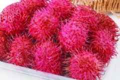 紅毛丹經(jīng)期能吃嗎？紅毛丹經(jīng)期可以吃嗎？[圖]