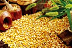 玉米和蜂蜜可以一起吃嗎？吃玉米喝蜂蜜會怎么樣？[圖]