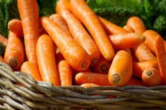 秋季養(yǎng)肺適合吃哪些食物？秋季吃什么食物可以潤肺呢？[圖]