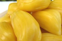 菠蘿蜜的核怎么吃呢？菠蘿蜜的核可以吃嗎？[圖]