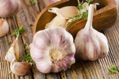 大蒜怎么保存不會發(fā)芽？大蒜不會發(fā)芽的保存方法[圖]