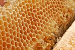 蜂王漿是什么東西？蜂王漿應(yīng)該怎么食用？[圖]
