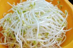 綠豆芽中有哪些營養(yǎng)成分？綠豆芽中有什么維生素？[圖]