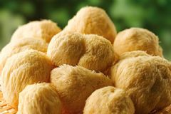 如何去除猴頭菇的苦味？去除猴頭菇苦味的方法有哪些？[圖]