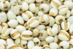 薏米吃多了會(huì)怎么樣？關(guān)于薏米的一些知識(shí)[圖]