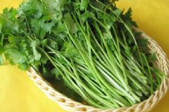 香菜的功效有哪些呢？香菜有什么禁忌？[圖]