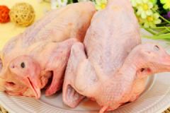 夏天吃鴿子好嗎？夏天吃鴿子有什么好處？[圖]