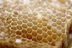 蜂膠長期服用好嗎？蜂膠吃多久最好？[圖]