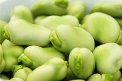 蠶豆吃多了會有什么影響？蠶豆吃多了會有什么危害？[圖]