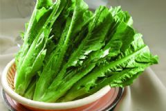 吃油麥菜能減肥嗎？油麥菜有什么功效和作用？[圖]