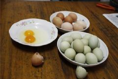 綠色的雞蛋可以吃嗎？綠皮雞蛋的營養(yǎng)價值有哪些？[圖]