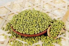 綠豆有什么用處？綠豆有什么功效和作用？[圖]