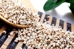 薏米吃了對人體哪些好處？薏米有哪些作用和功效？[圖]