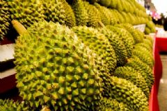 打開的榴蓮怎么保存不會壞？榴蓮沒有熟怎么辦？[圖]