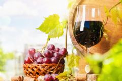 冬季能做葡萄酒嗎？冬季能喝葡萄酒嗎？[圖]