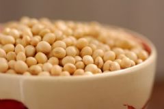補肝的食物有哪些？吃什么食物補肝？[圖]