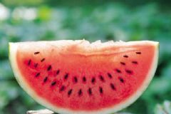 西瓜面膜有何好處？西瓜面膜該如何做？[圖]