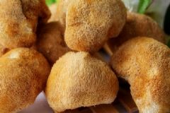 吃猴頭菇養(yǎng)胃嗎？猴頭菇可以養(yǎng)胃嗎？[圖]