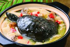 甲魚不能跟什么一起吃？甲魚的飲食禁忌[圖]