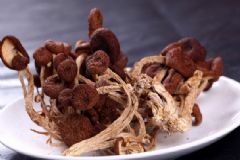 產婦可以吃茶樹菇嗎？產婦吃茶樹菇有什么好處？[圖]