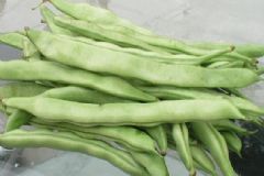 吃什么容易食物中毒？吃什么食物容易食物中毒？[圖]