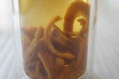 陳皮蜂蜜的功效和作用有哪些？陳皮蜂蜜水的功效是什么？[圖]