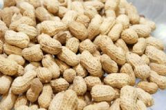 花生發(fā)芽還能食用嗎？花生的營養(yǎng)價(jià)值有哪些？[圖]