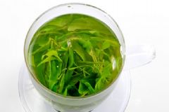 月經(jīng)可以喝苦丁茶嗎？苦丁茶的功效作用有哪些？[圖]