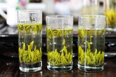 喝綠茶能減肥嗎？喝綠茶禁忌有哪些？[圖]