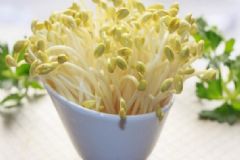 豆芽和豆腐一起吃會(huì)怎樣？豆芽和豆腐一起吃有什么好處？[圖]