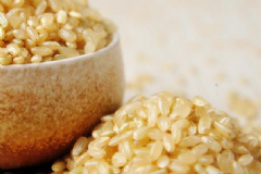 人體需要排毒的原因是什么？南瓜糙米飯可以排毒嗎？[圖]