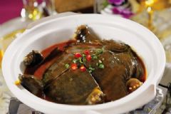甲魚不能和什么一起吃？甲魚和什么不能一起吃？[圖]