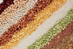 哪些食物會(huì)引發(fā)胃病？易引發(fā)胃病的食物有哪些？[圖]