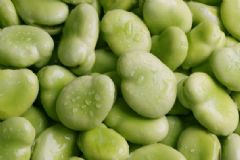 蠶豆有哪些營(yíng)養(yǎng)價(jià)值？蠶豆的食用功效有哪些？[圖]