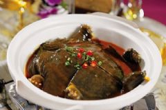 吃甲魚過(guò)敏怎么辦？吃甲魚過(guò)敏了怎么處理？[圖]