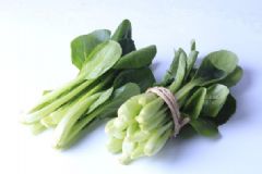 青菜的種類有哪些？青菜的功效與作用[圖]