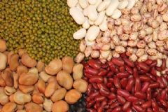 排毒瘦身的食物有哪些？吃什么清腸比較好？[圖]